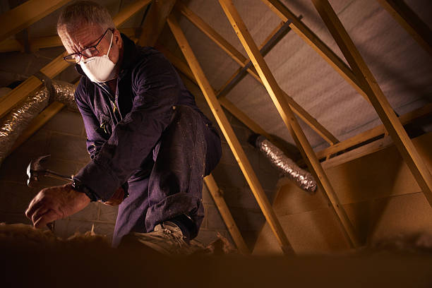 Best Insulation Maintenance and Repair in Vashon, WA